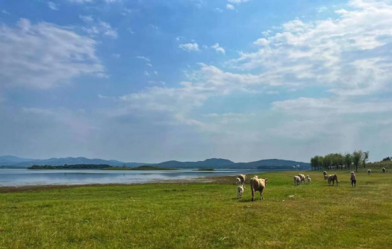 鏡頭記錄產(chǎn)投華章,光影描繪集團(tuán)精彩161.png 鏡頭記錄產(chǎn)投華章,光影描繪集團(tuán)精彩161.png