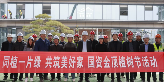 1741848541431.jpg 1741848541431.jpg